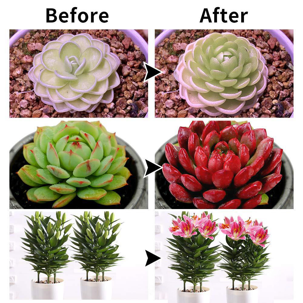 LED -lys for planter