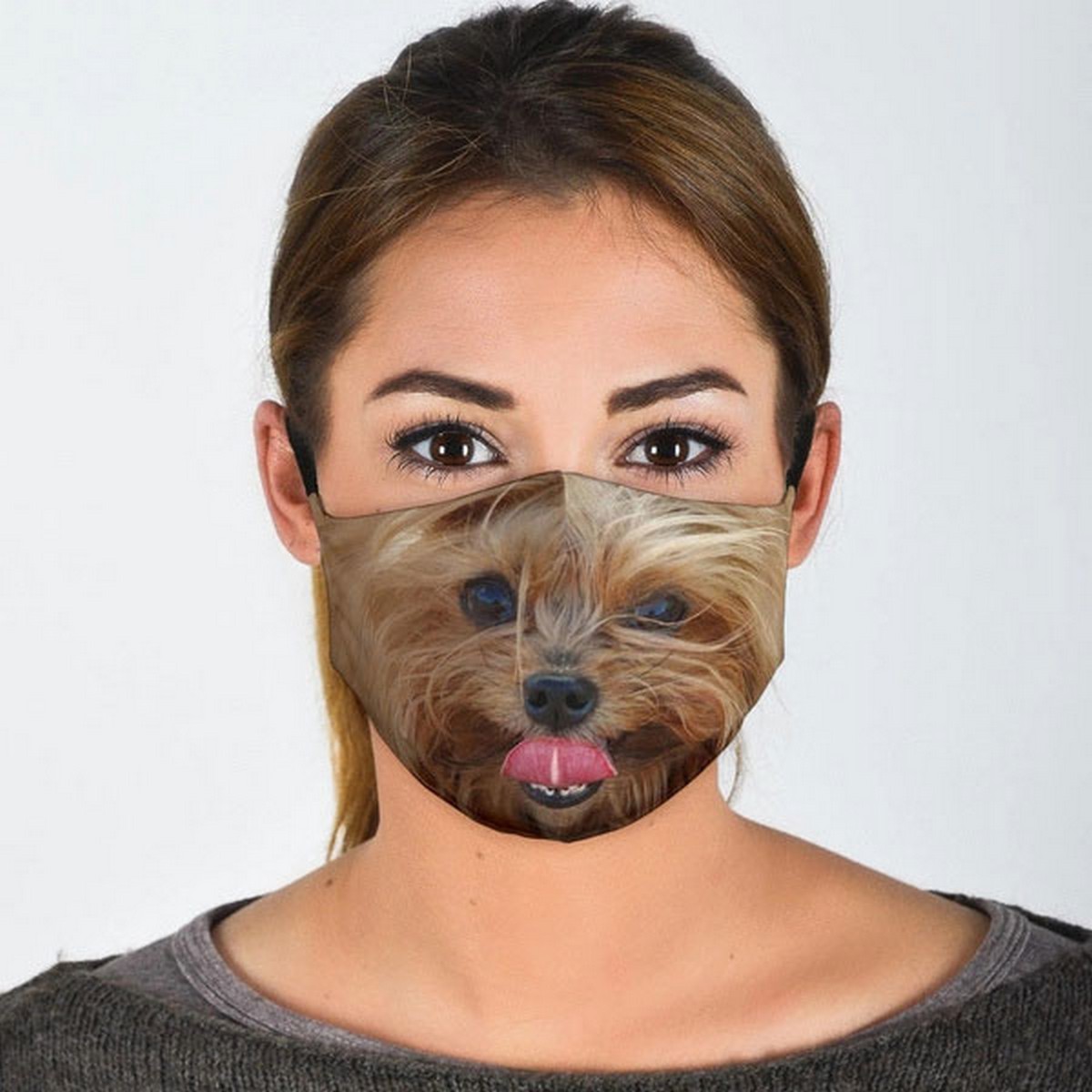 yorkshire terrier ansiktsmaske